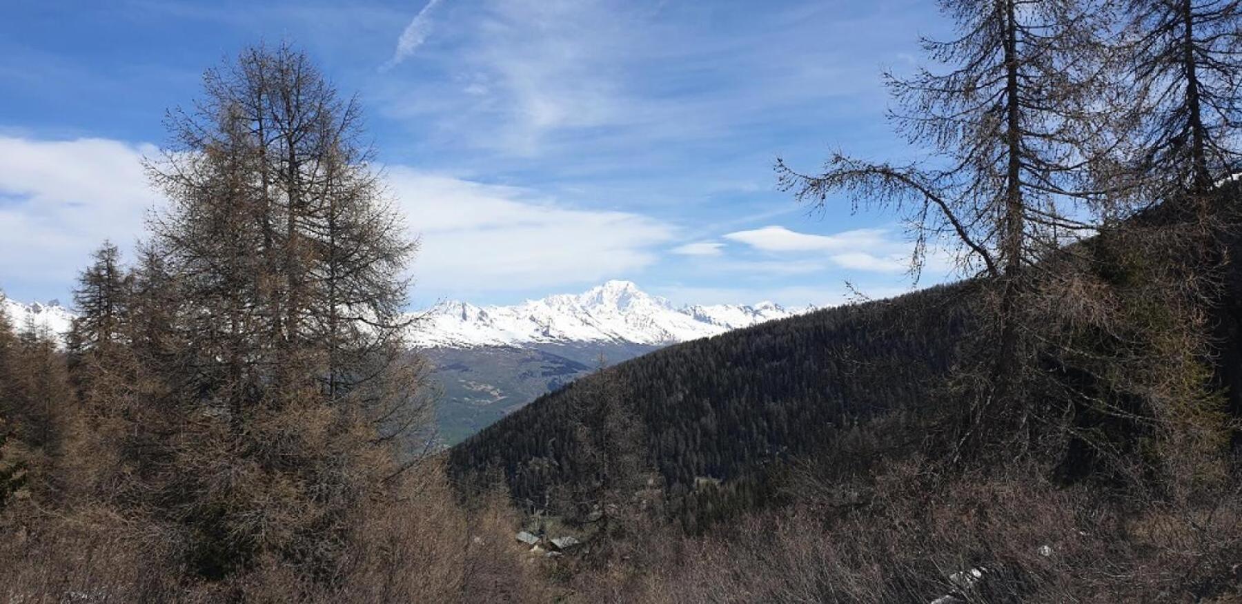 Residence Plagne Lauze - Maeva Home - Appartement 2 Pieces 5 Personnes - Confort Mae-9202 Macot-la-Plagne 外观 照片
